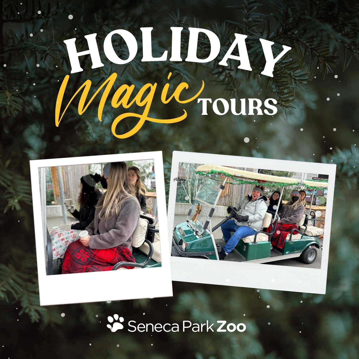 Holiday Magic Tours