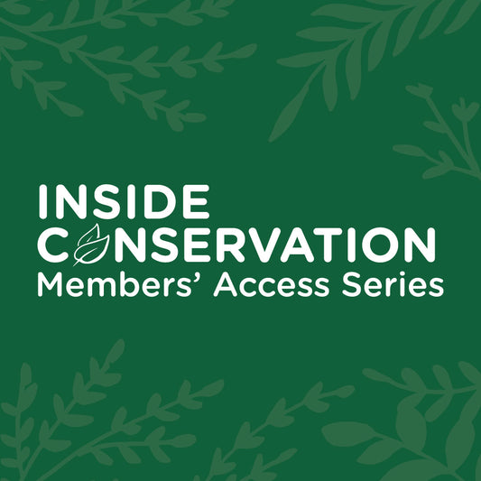 Searching for Biodiversity in Madagascar