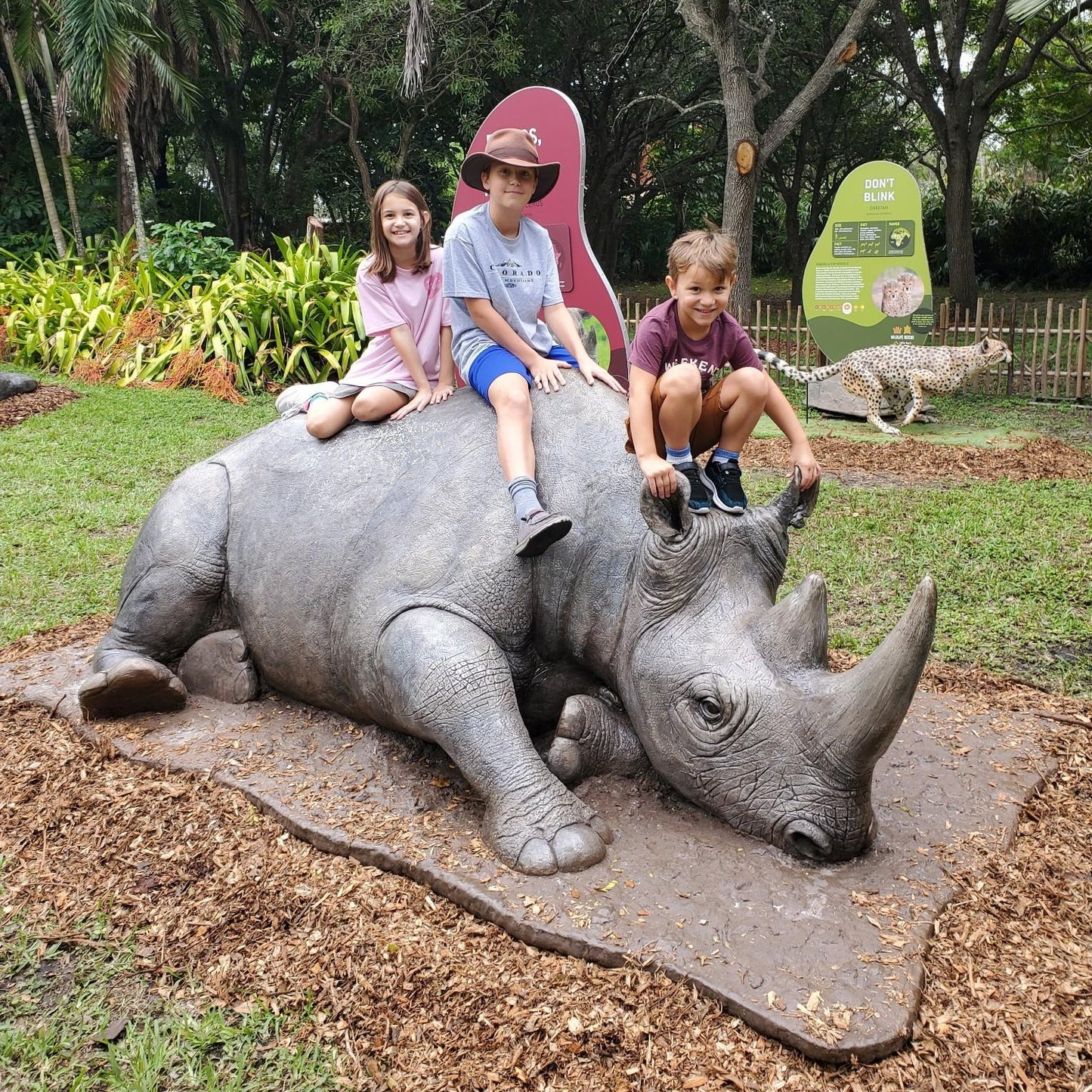 Member Preview Wildlife Rescue: Tales of Conservation