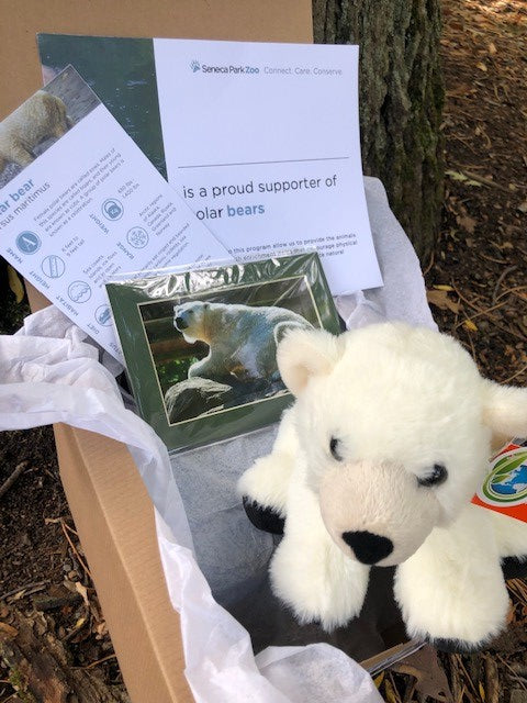 Adopt a Polar Bear