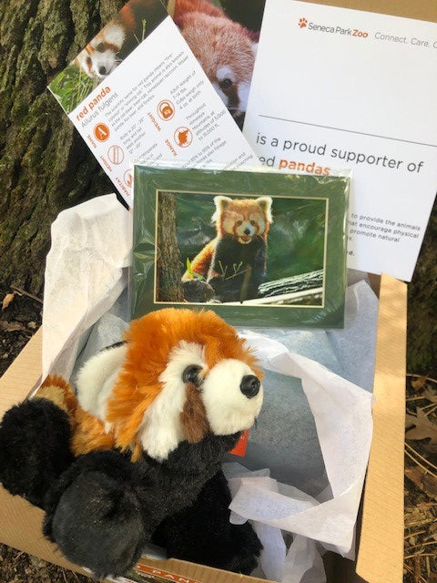 Adopt a Red Panda