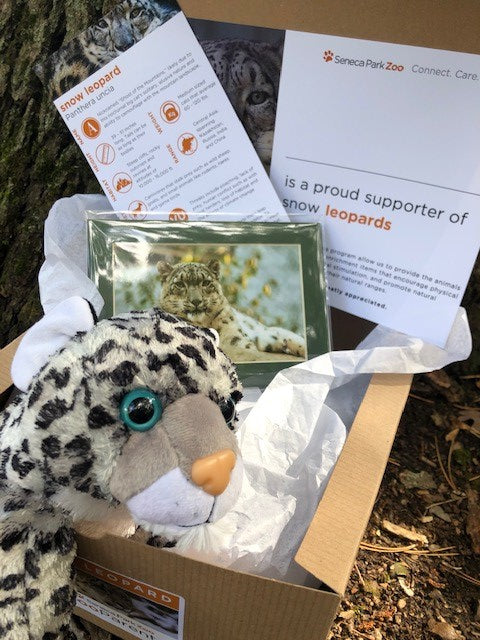 Adopt a Snow Leopard