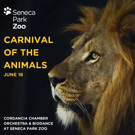 2024 Carnival of the Animals & BIODANCE