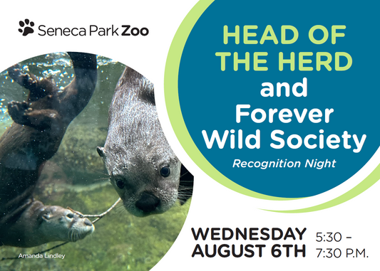 Head of the Herd & Forever Wild Society Night at the Zoo