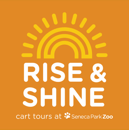 2024 Rise and Shine Cart Tours