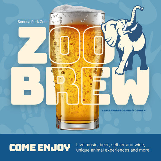 ZooBrew | June 2025