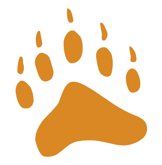Scouts BSA: Mammal Study Merit Badge
